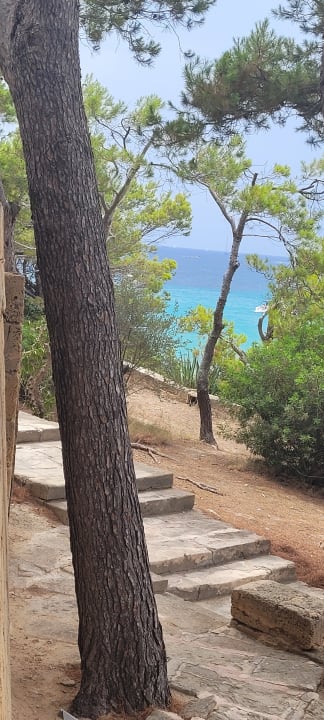 Ausblick Universal Hotel Lido Park & Spa