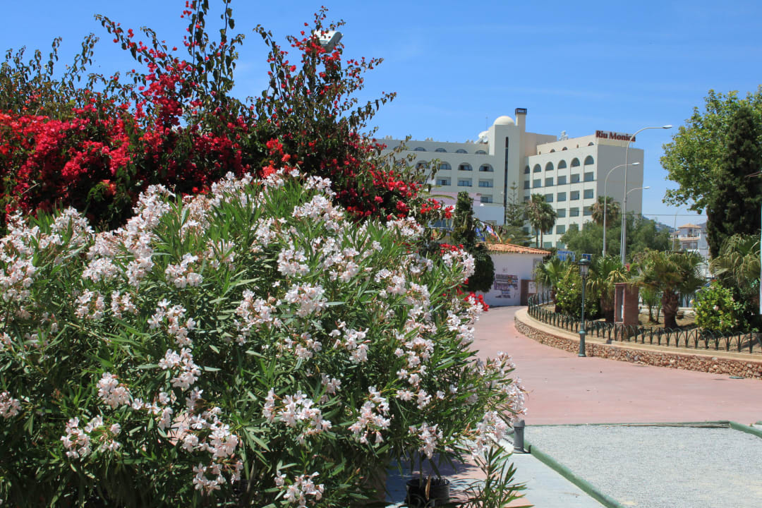 Hotelansicht von einem Seitenweg Hotel Riu Monica - Adults only