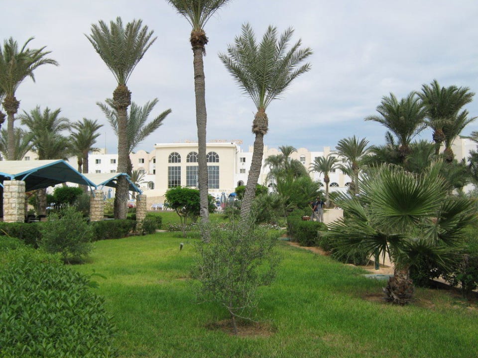 Djerba Castille - der Garten Djerba Castille