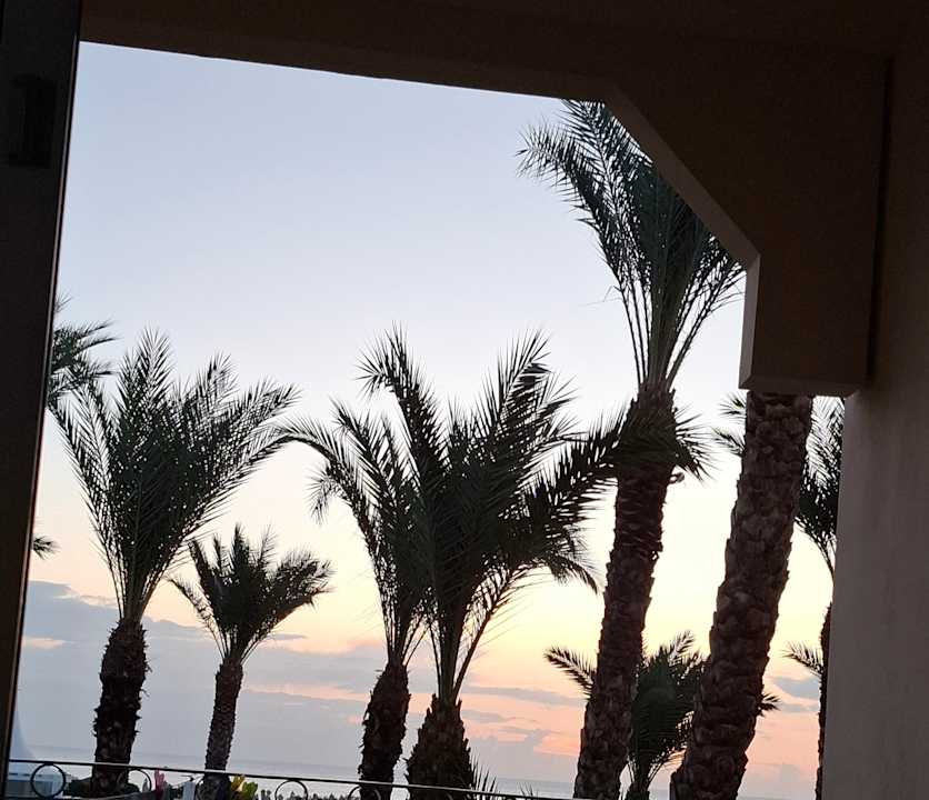 Ausblick Iberostar Waves Averroes