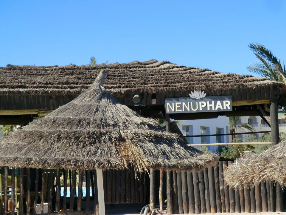 Mitten im Hauptpool Djerba Sun Beach Hotel & Spa