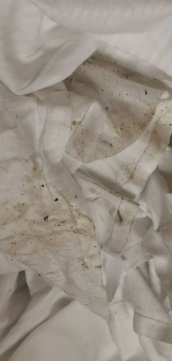 Zimmer Center Parcs Park Bostalsee