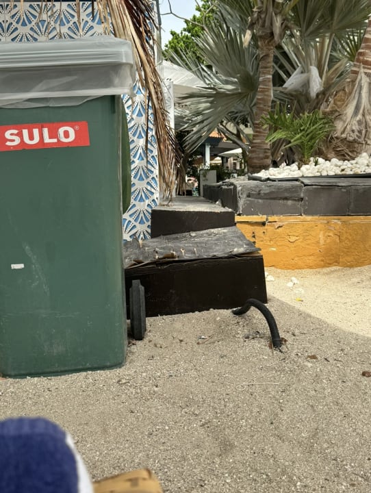 Strand Anantara The Palm Dubai Resort