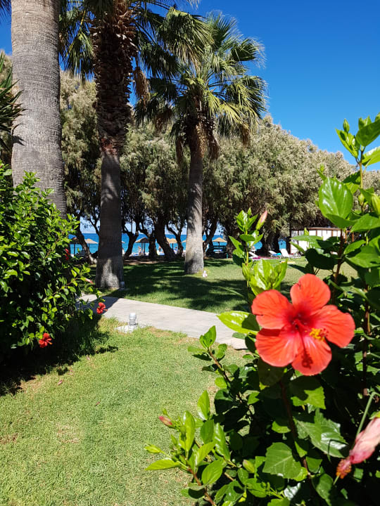 Gartenanlage TUI KIDS CLUB Alex Beach