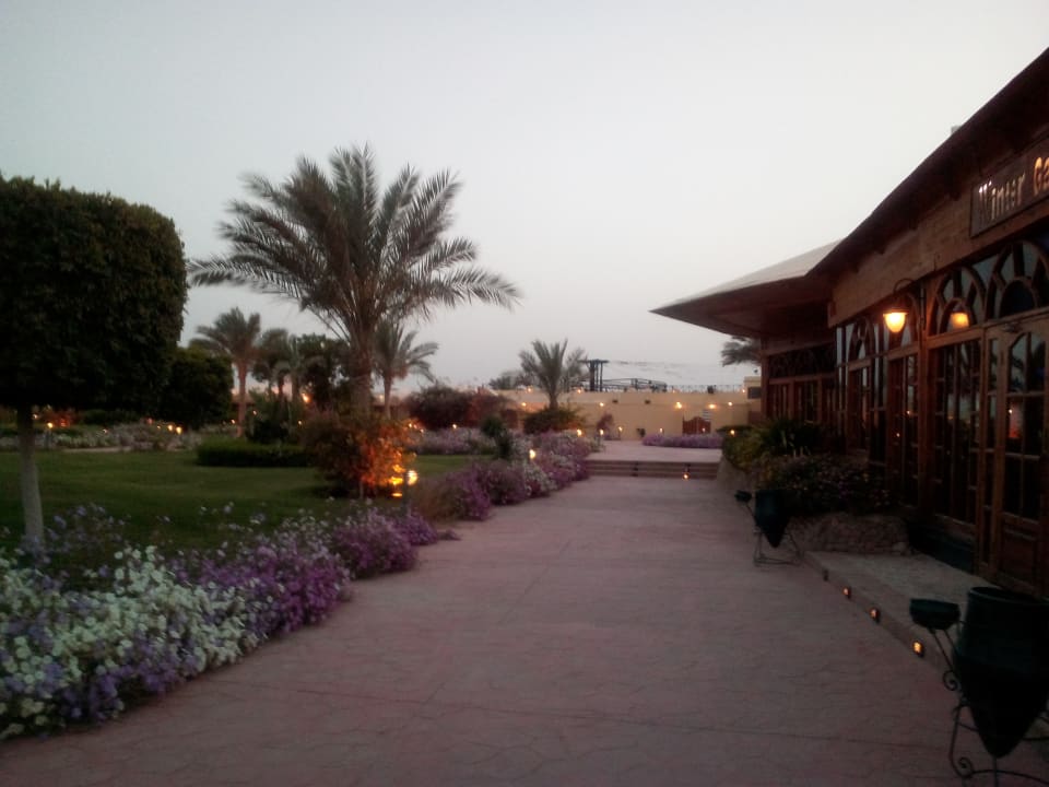 Gartenanlage Desert Rose