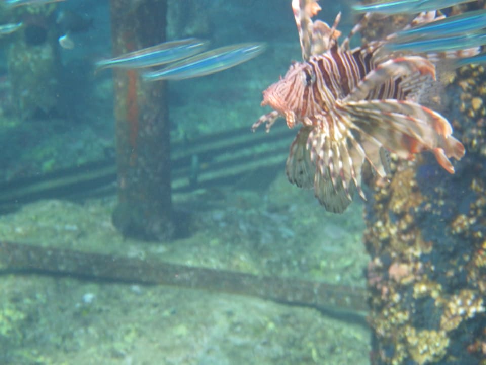 Strand Bliss Nada Beach Resort