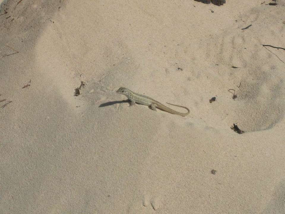 süsse kleines ding Hotel Grand Palladium Palace Resort, Spa & Casino