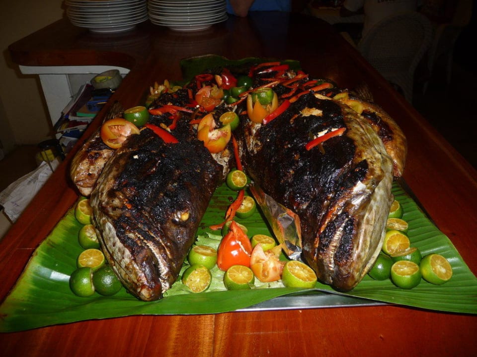 Lapu Lapu bei Mike Mike's Dauin Beach Resort