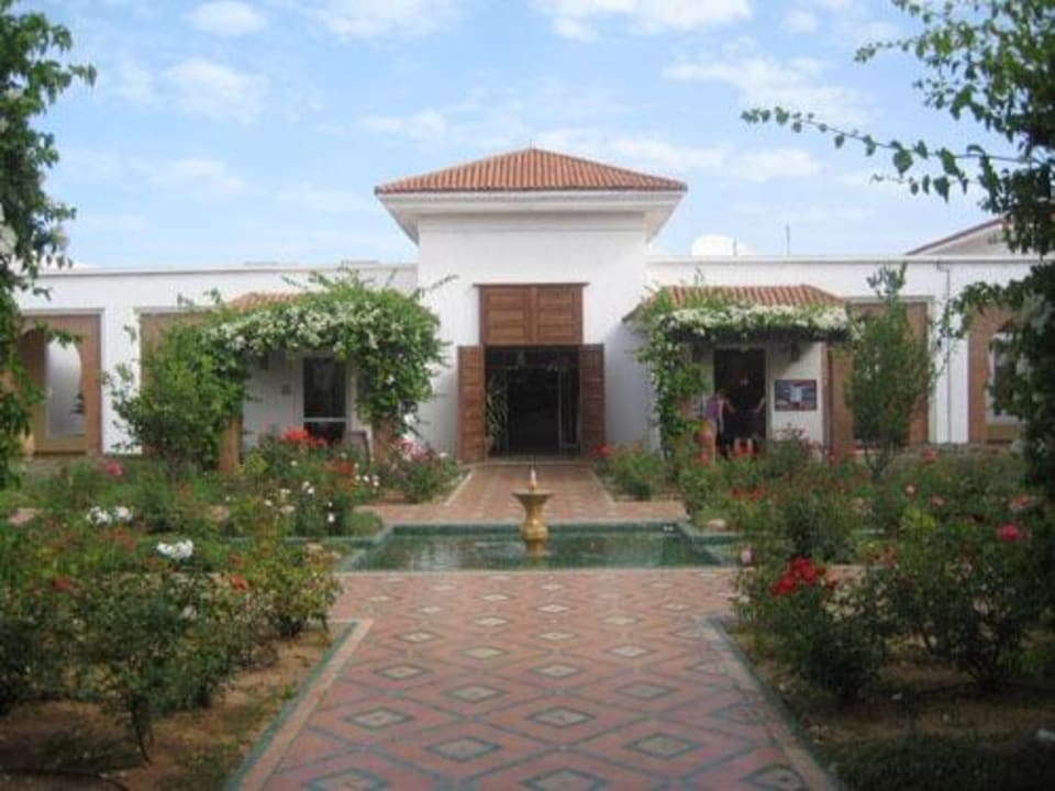 Cafe ROBINSON AGADIR