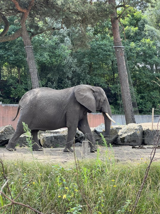 Sport & Freizeit Lake Resort Beekse Bergen