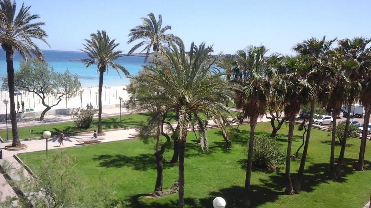 Sonne,Palmen,Strand CM Castell de Mar