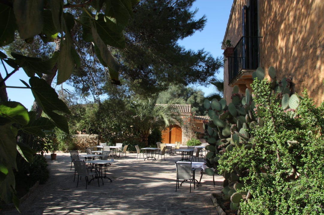 Frühstücksterrasse Hotel Sa Galera