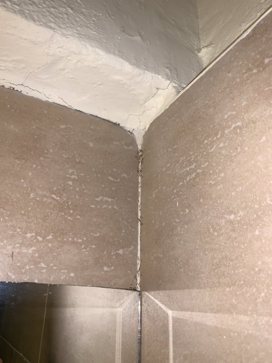 Zimmer Eagles Paradise Abu Soma