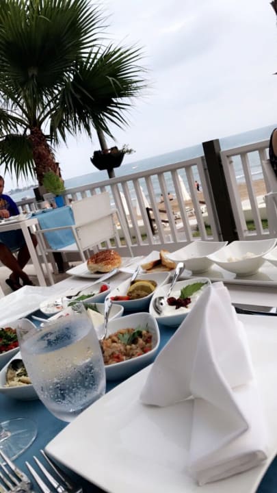 Restaurant Acanthus Cennet Barut Collection