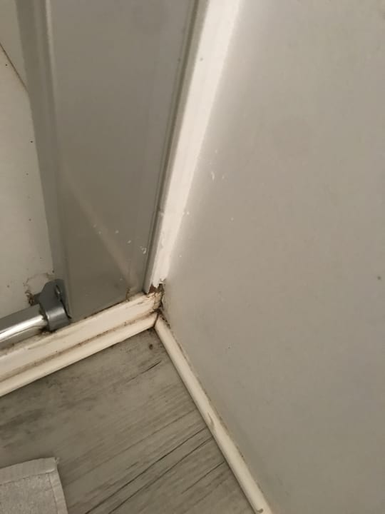 Zimmer FERGUS Club Pineda Splash