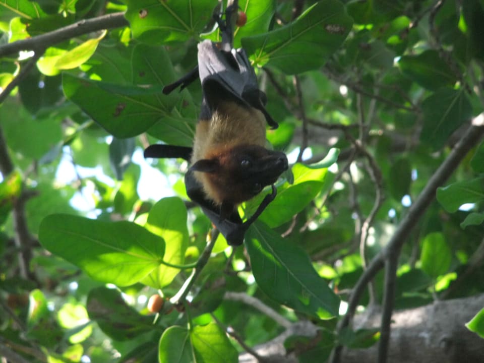 Garten Adaaran Select Hudhuran Fushi - Premium All Inclusive