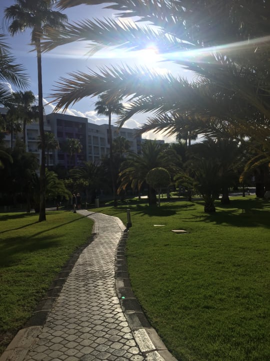 Gartenanlage Hotel Riu Gran Canaria