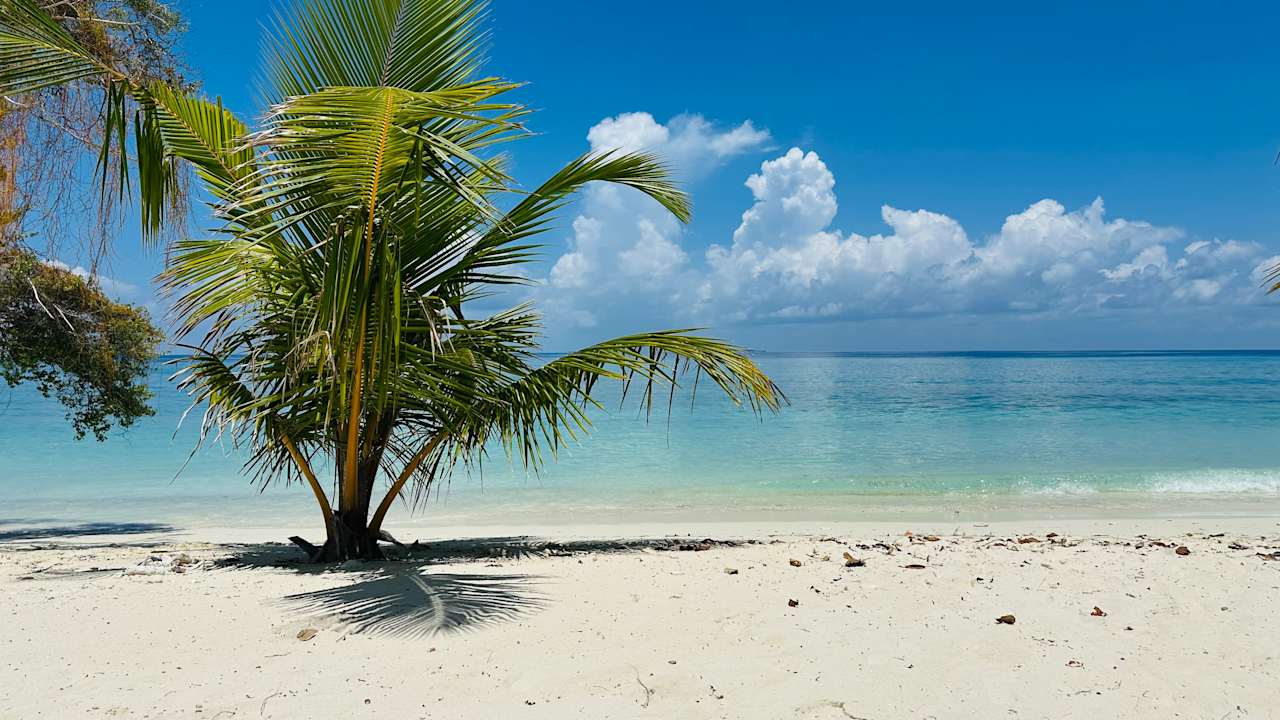 Ausblick Kuredu Island Resort & Spa