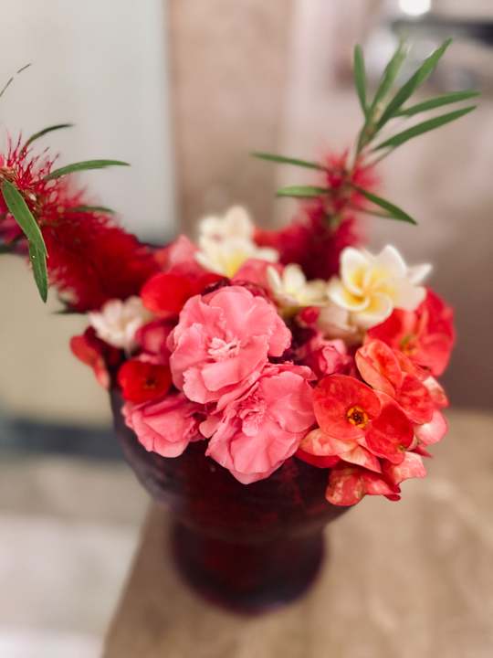 Zimmer Pickalbatros Royal Moderna Resort-Sharm El Sheikh