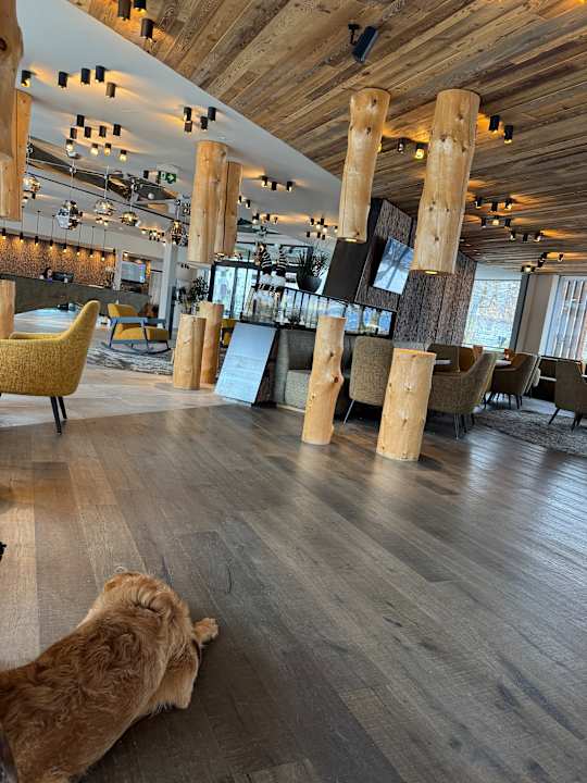 Gastro SONNENBERG | Panorama Dolomites Wellbeing