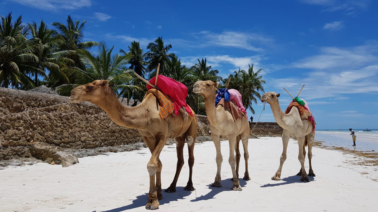 Strand Neptune Village Beach Resort & Spa