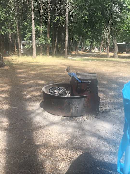 Sonstiges North Pines Campground