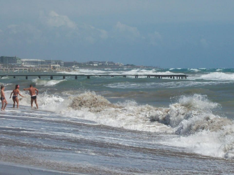 Der Strand Papillon Belvil