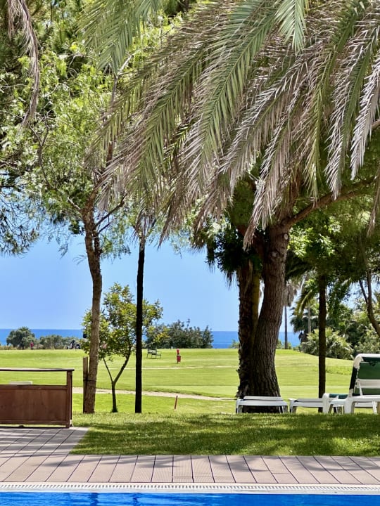 Pool ROBINSON QUINTA DA RIA