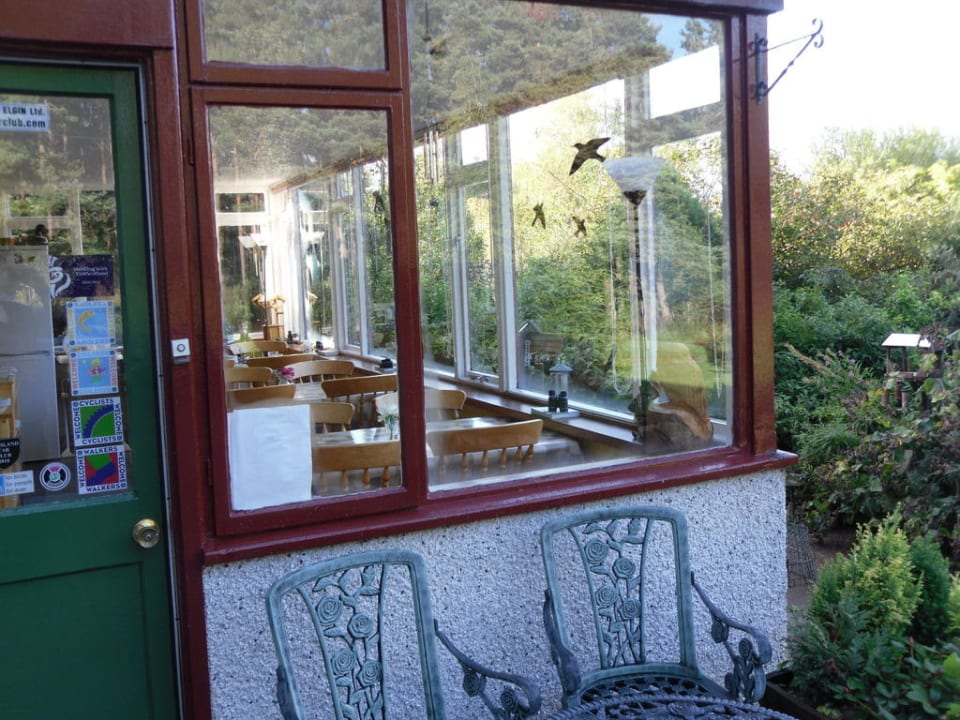 Blick auf den Wintergarten Guesthouse Rosegrove