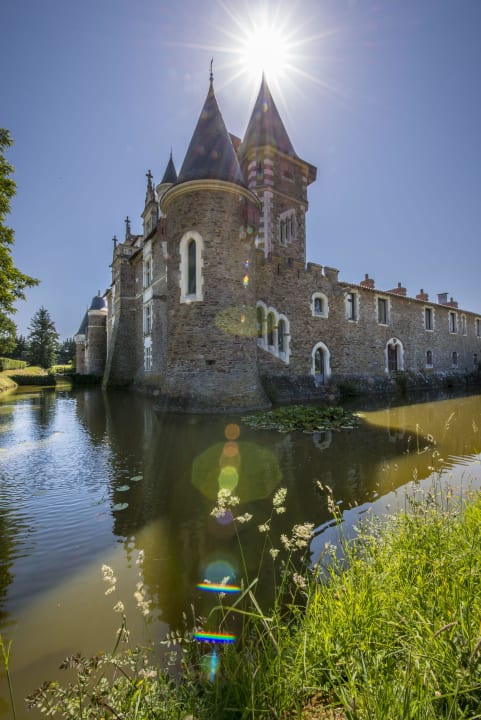 Le parc et douves Hotel Chateau De La Colaissiere