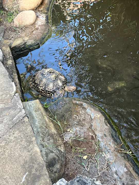 Sonstiges Bahari Beach Hotel