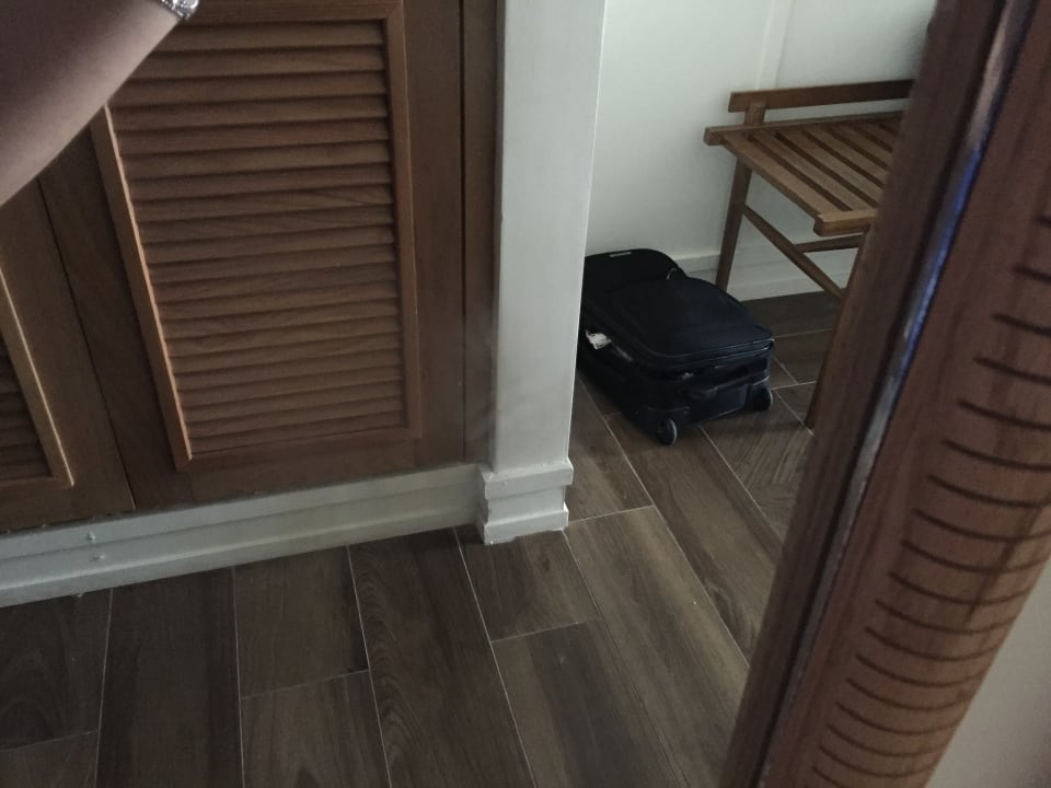 Zimmer Ocean El Faro