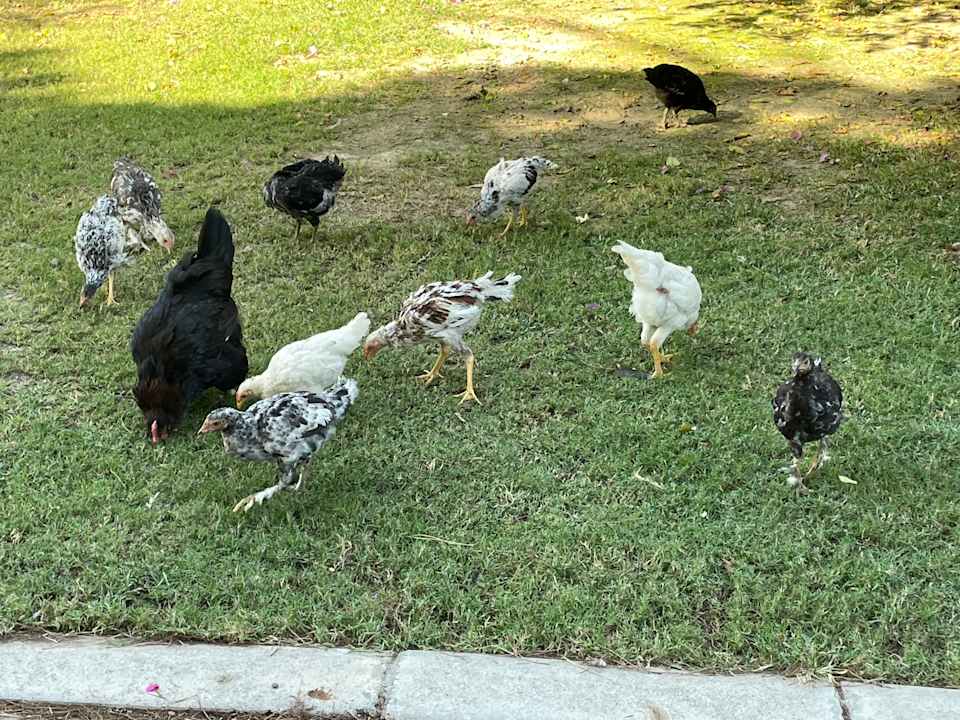 Gartenanlage VONRESORT Golden Beach