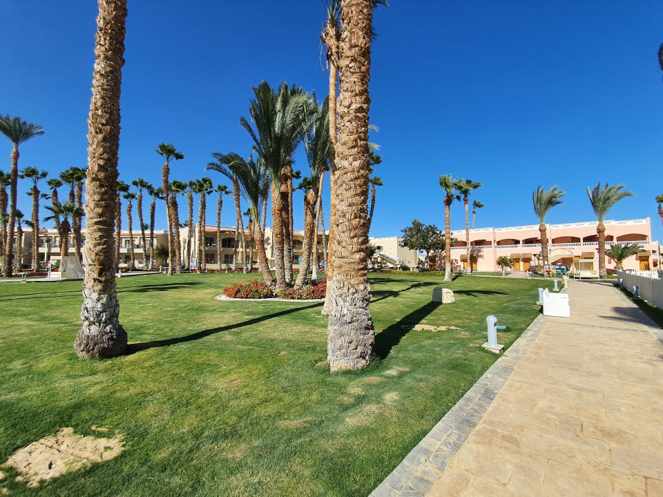 Gartenanlage Beach Albatros Resort