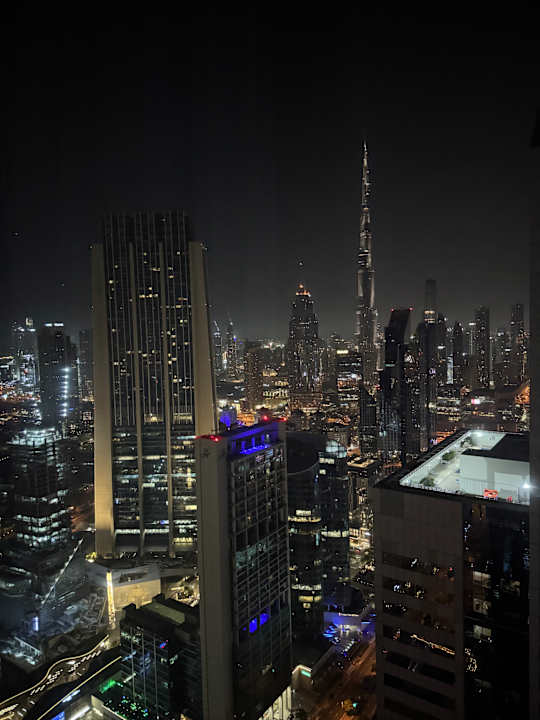 Ausblick Rose Rayhaan by Rotana