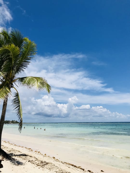 Strand Akumal Bay Beach & Wellness Resort
