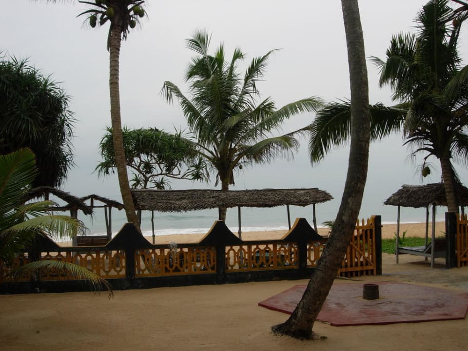 Aussicht auf das Meer Jasmine Gardens Beach Guest House