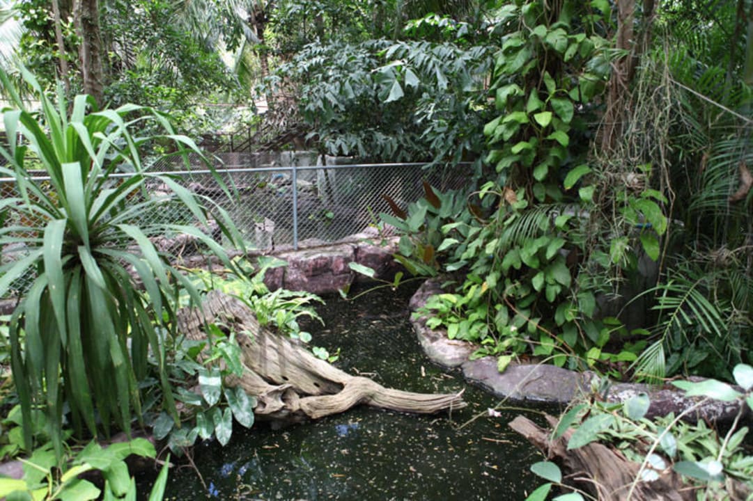 Tropische Anlagen fuer Tiere Adventure Resort Thailand