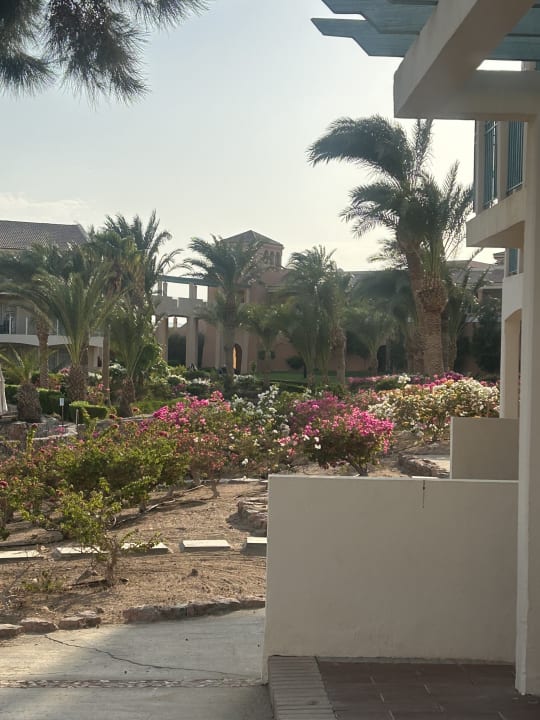 Ausblick Mövenpick Resort & Spa El Gouna