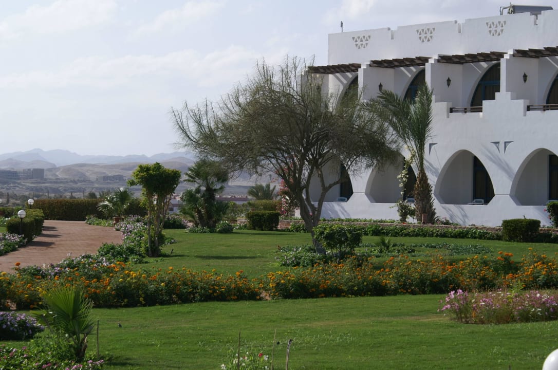 Blick in die Wüste Three Corners Equinox Beach Resort