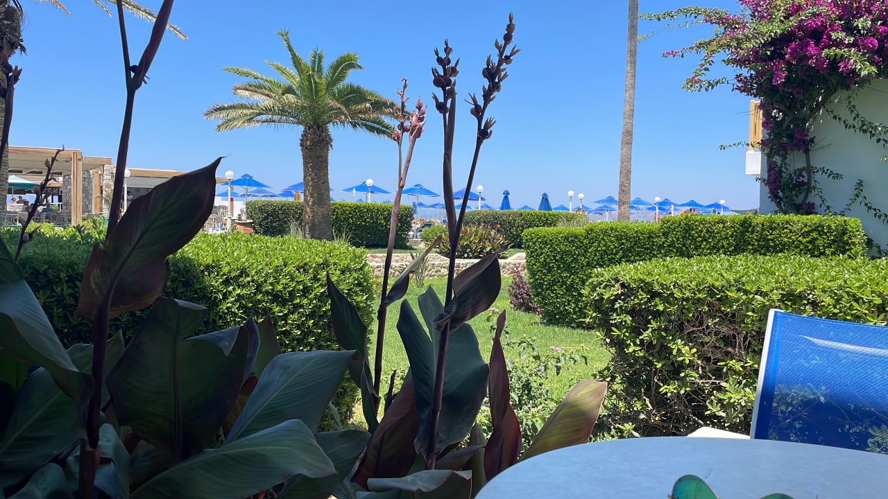 Gartenanlage Mastichari Bay Hotel