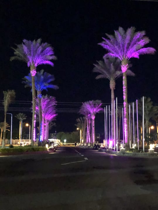 Garten Pickalbatros Alf Leila Wa Leila Resort - Neverland Hurghada