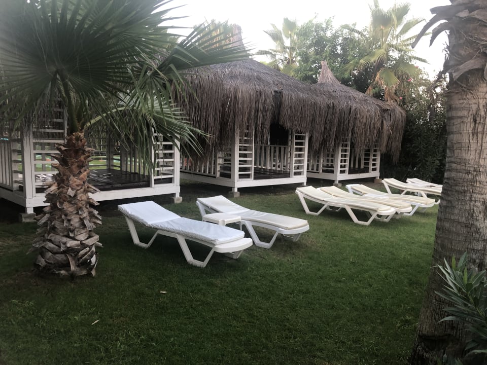 Gartenanlage Saturn Palace Resort Hotel