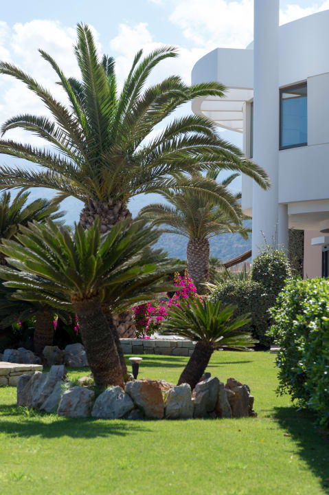 Gartenanlage Grand Hotel Holiday Resort