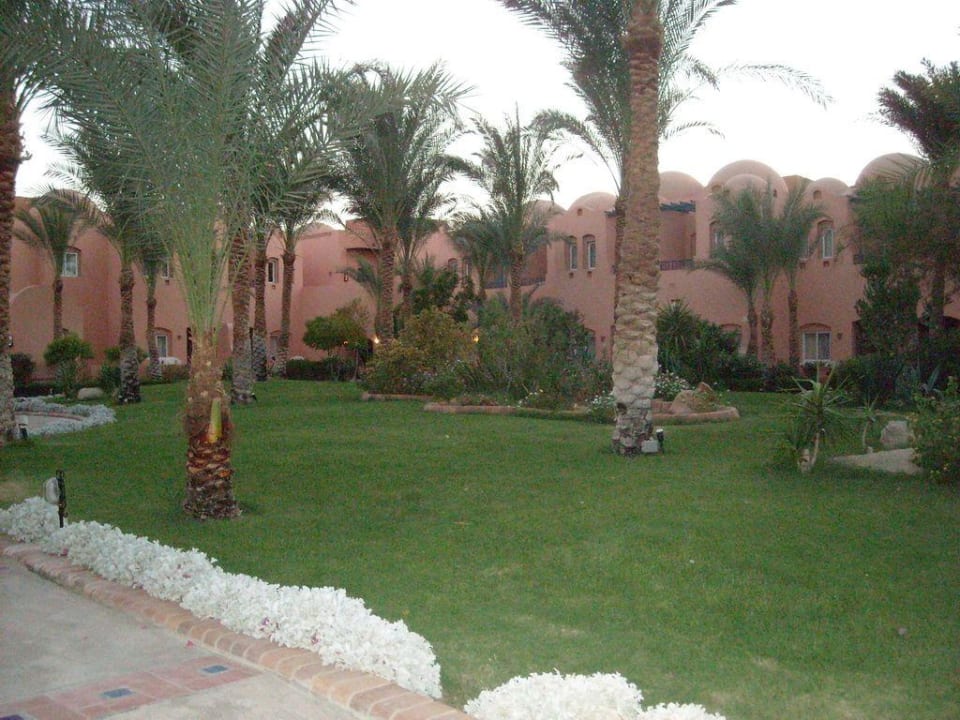Madinat Makadi Jaz Makadi Oasis Resort