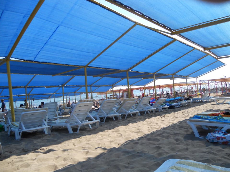 Schöner Strand! Hotel Orfeus Park