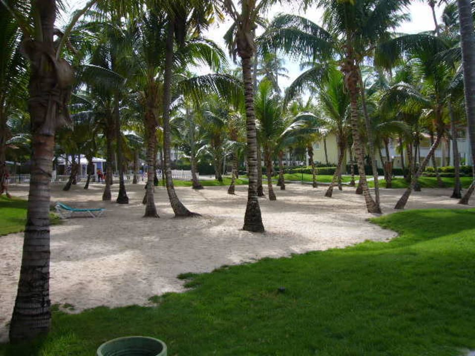Gartenanlage Hotel Riu Bambu