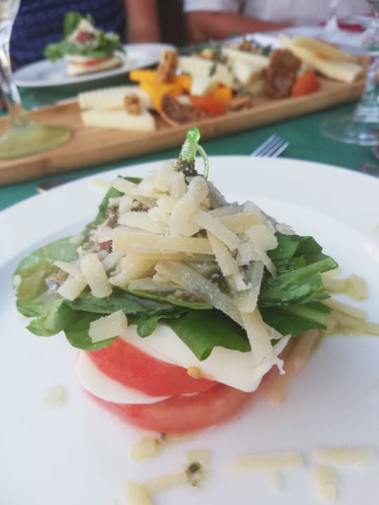 Gastro Well Palace Side