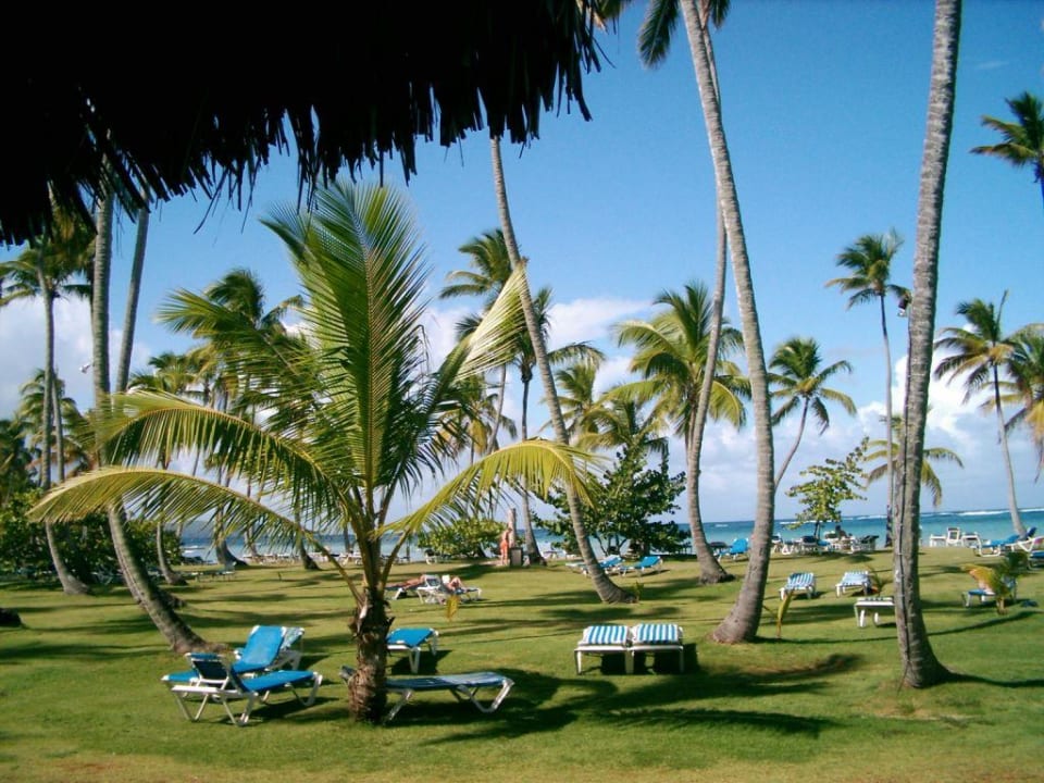 Liegewiese Wyndham Alltra Samana