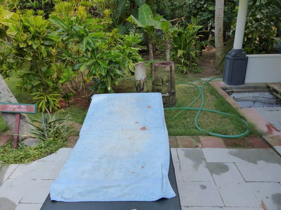 Handtücher  Linta's Golden Beach